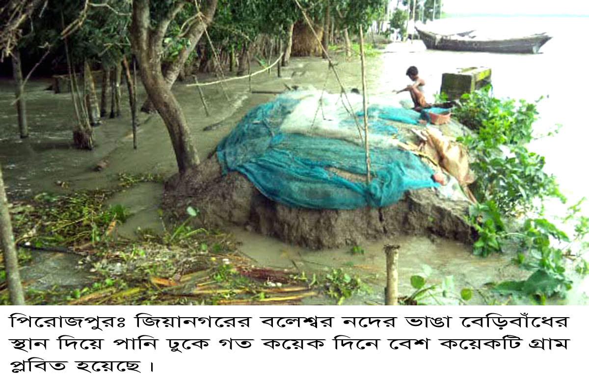 পিরোজপুর উপকূলে অবিরাম বর্ষণ ও জোয়ারের লবন পানিতে সাত উপজেলার কৃষি ও জনজীবনে বিপর্যয়