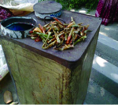 কৃষক-কৃষাণীর স্থানীয় জ্ঞানে কালাসোনা চরে কাঁচা মরিচ সংরক্ষণ