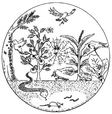 প্রাণবৈচিত্র্য ও উৎপাদনশীলতা