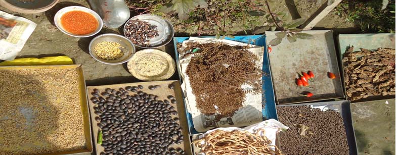 গ্রামীণ শস্যপঞ্জিকা : রূপ ও রূপান্তর ( শেষ অংশ)