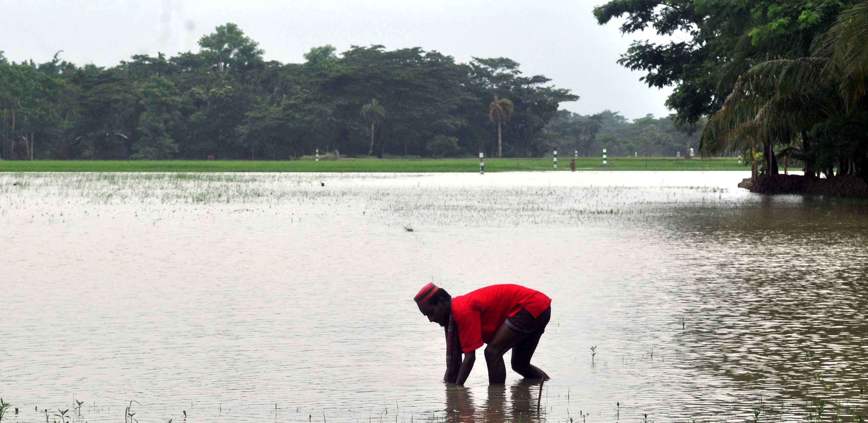 উপকূলে জলাবদ্ধতার কবলে কৃষকের স্বপ্নবীজ