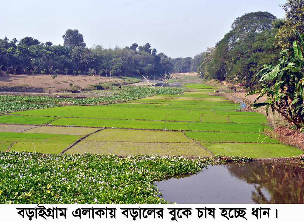 সচল করো বড়াল পারের অর্থনীতি,সামাজিক রীতি নীতি ও পরিবেশের ভারসাম্য