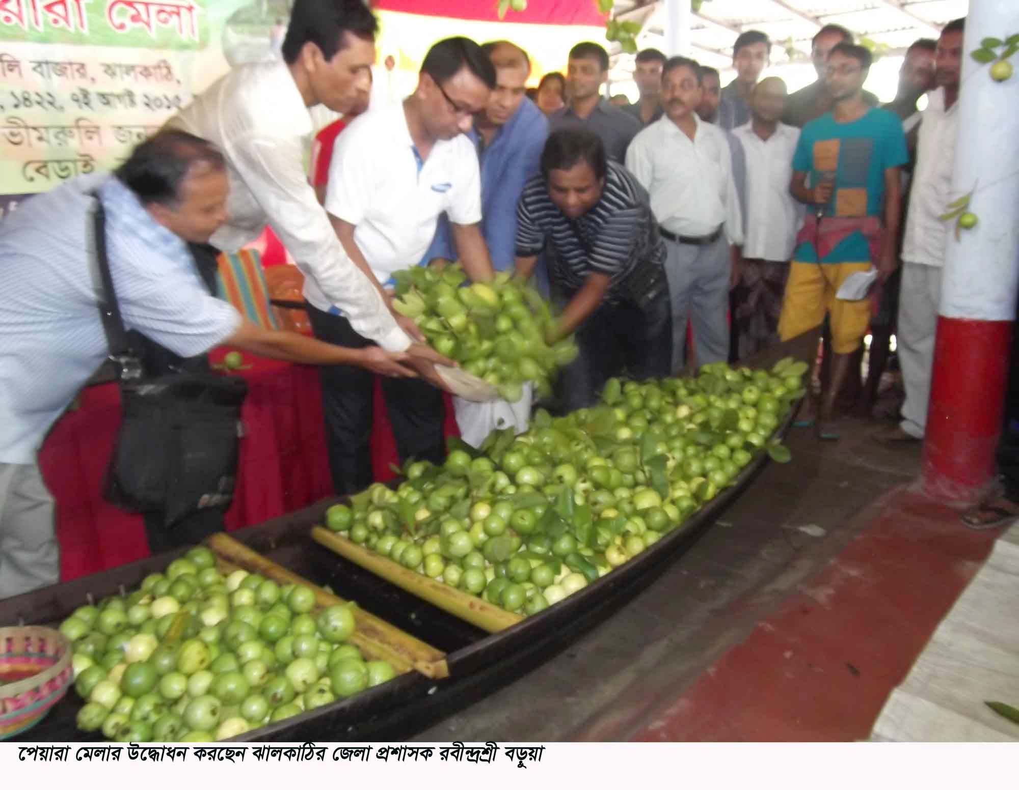 পেয়ারা মেলা
