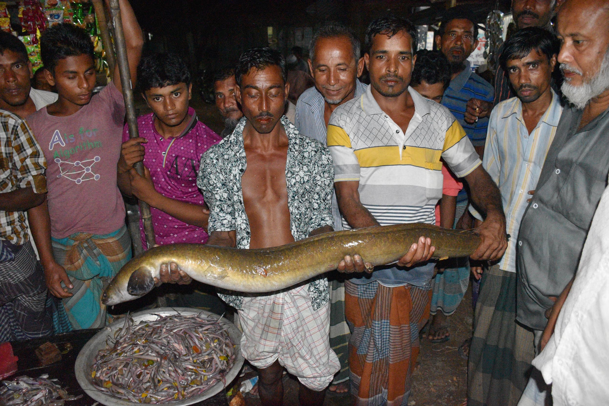 বিষখালীতে বিরল বামোশ