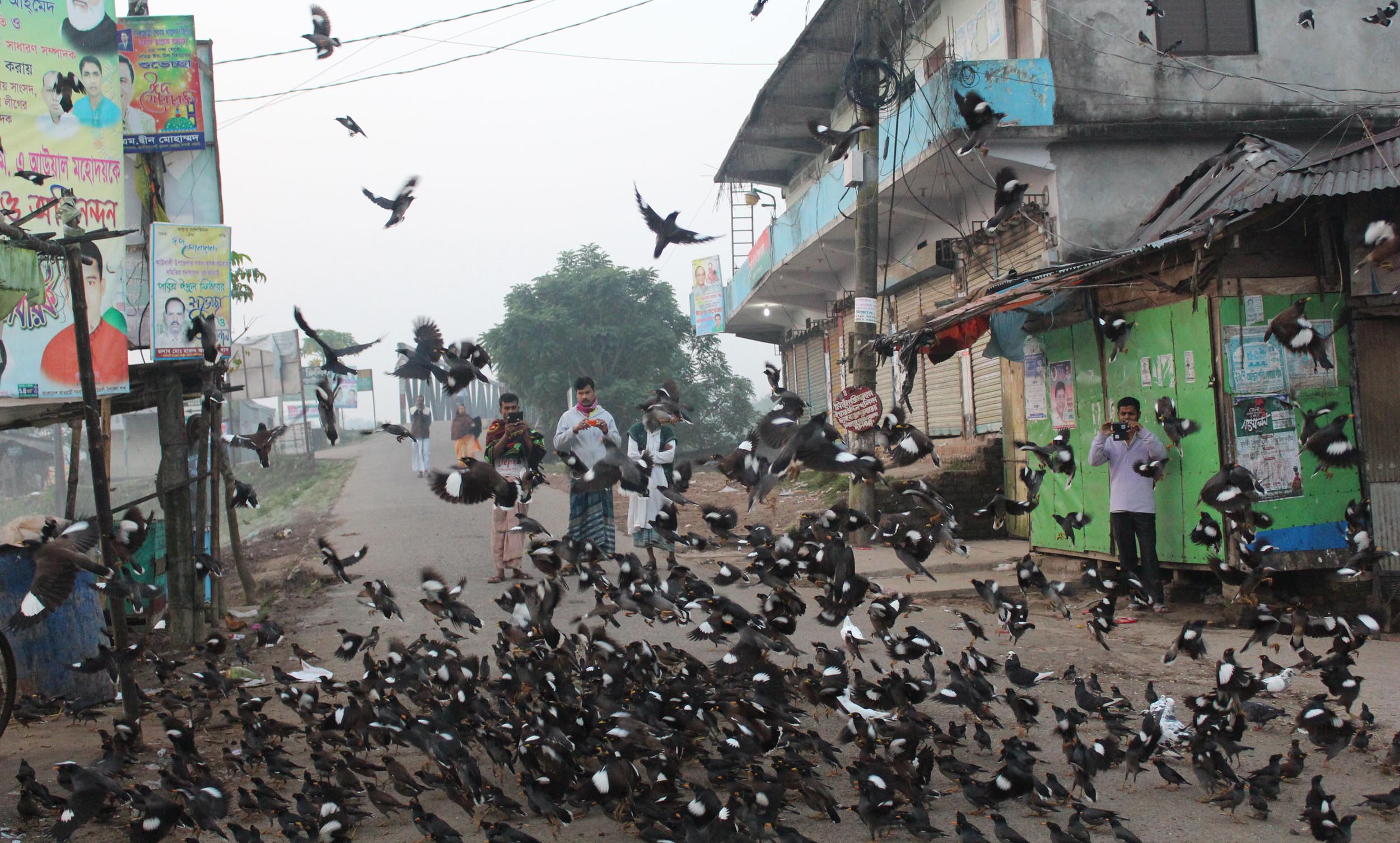জয়দেবের অতিথিশালায় ভোরের পাখি