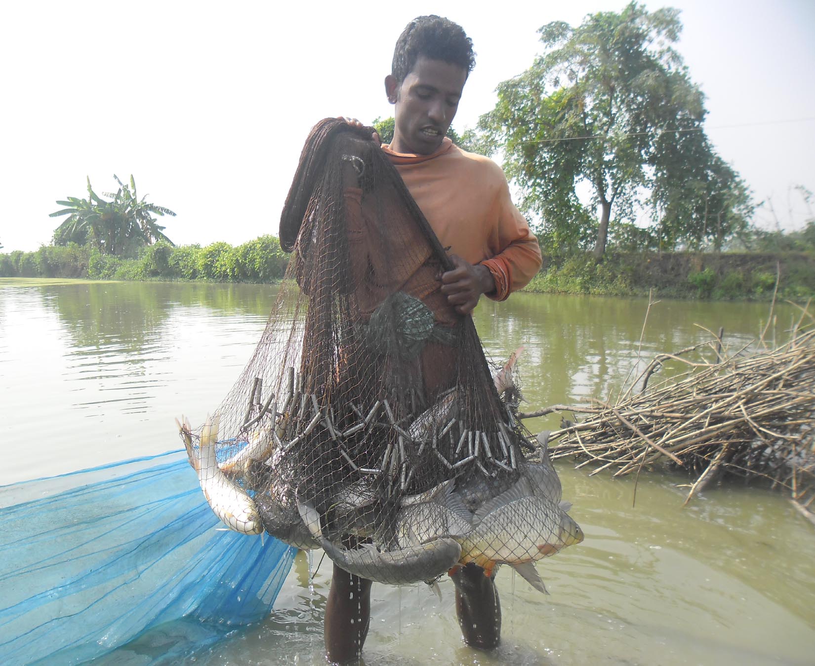 মাছের জেলা ‘সাতক্ষীরা’
