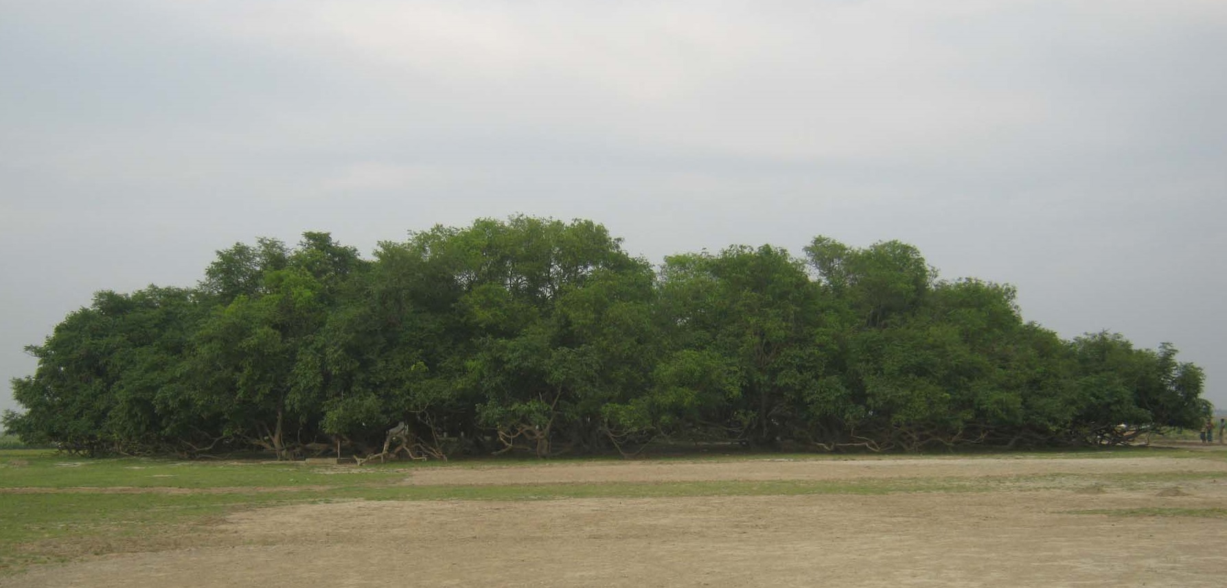আড়াল করে রেখেছি একটি গ্রামকে