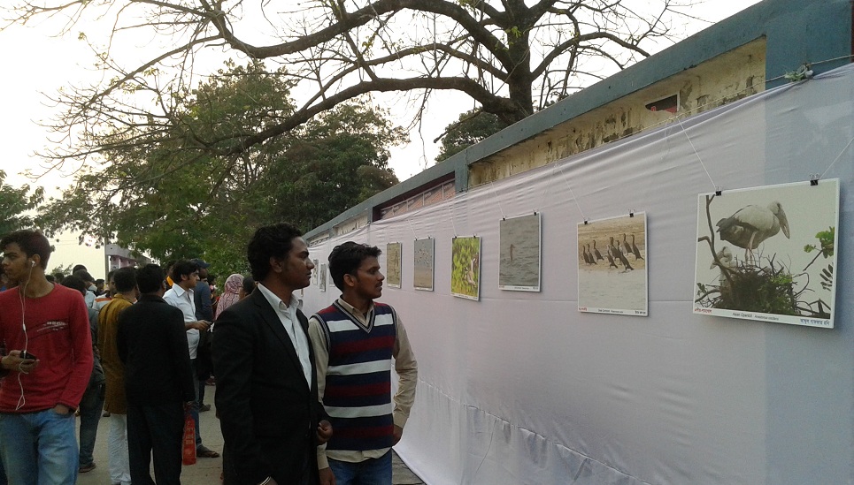 পাখিরা বেঁচে থাক, পৃথিবীটাজুড়ে থাক