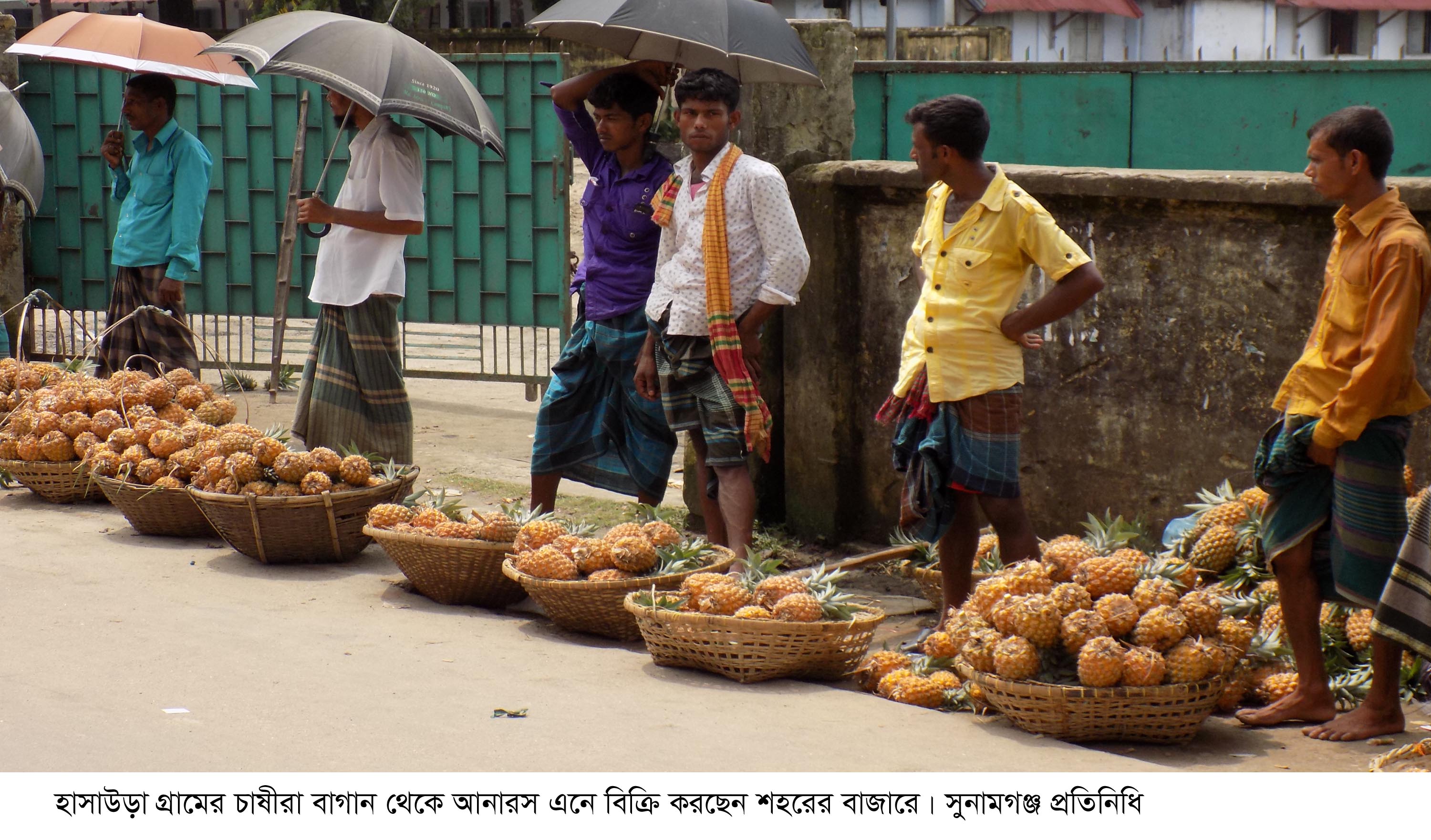 সুনামগঞ্জে ফরমালিনমুক্ত আনারসের বাজার