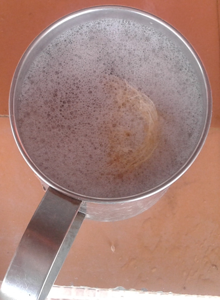 বীজ বিদ্যাপীঠের অনেকগুলো ‘না’