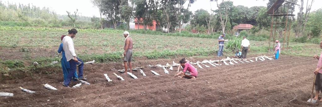 বীজ বিদ্যাপীঠ এর শিক্ষার্থী ও শিক্ষাপদ্ধতি