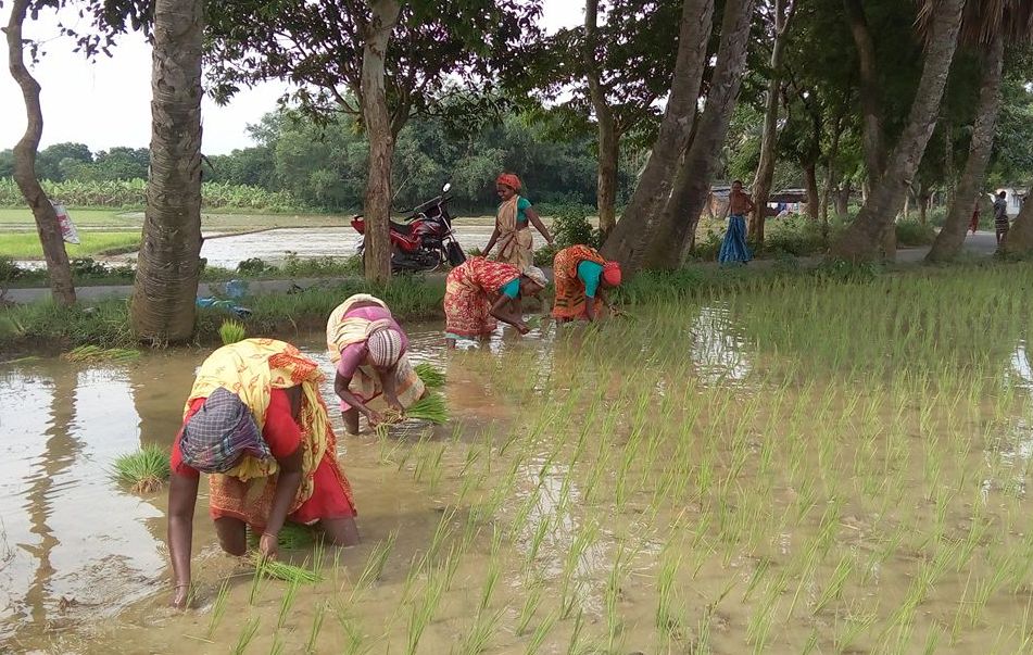 বর্ষা এলে আমাদের কদর বাড়ে, বাড়ে না মজুরি