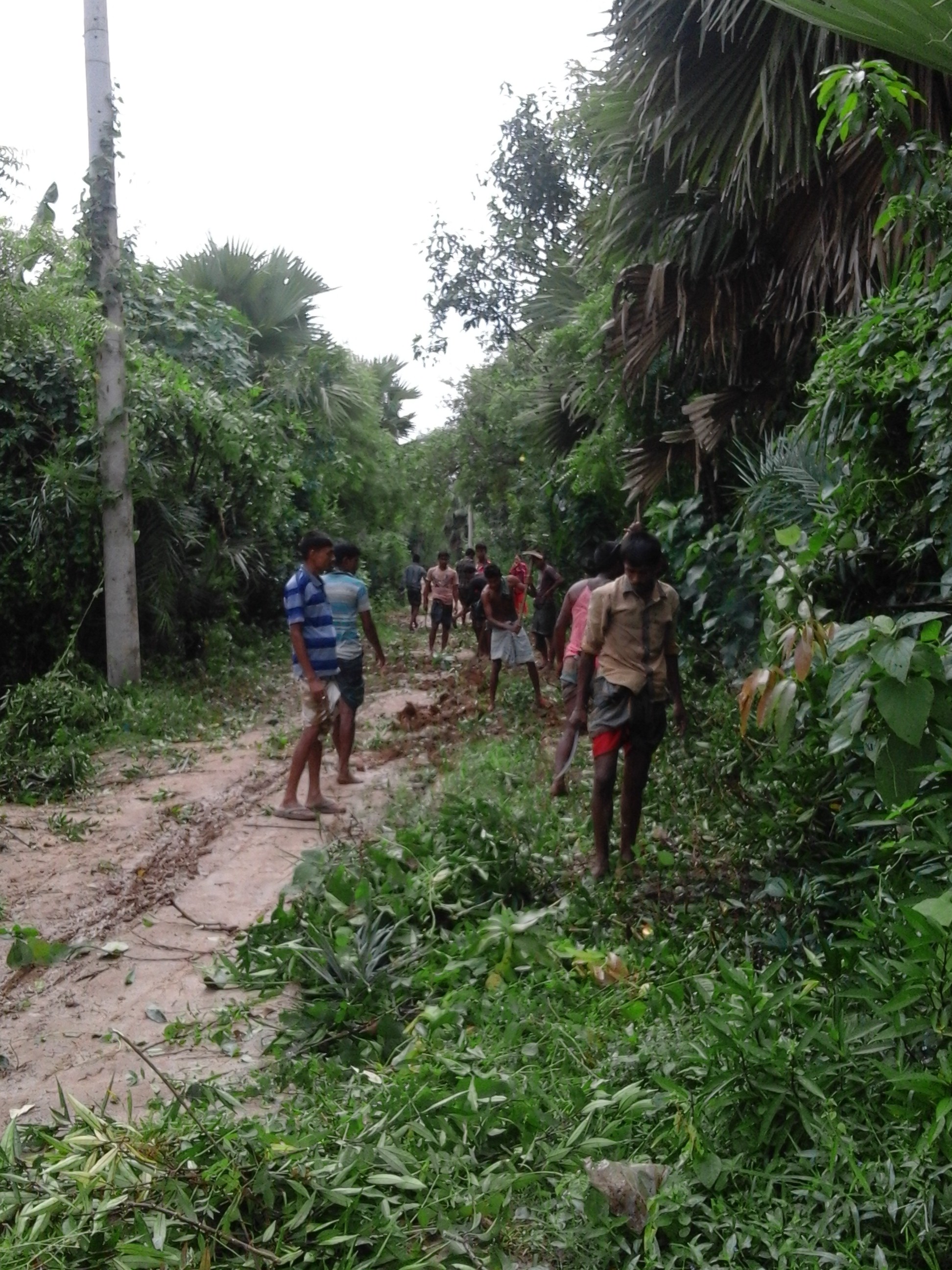 তানোরে একদল সক্রিয় তরুণ এবং তাদের উদ্যোগ