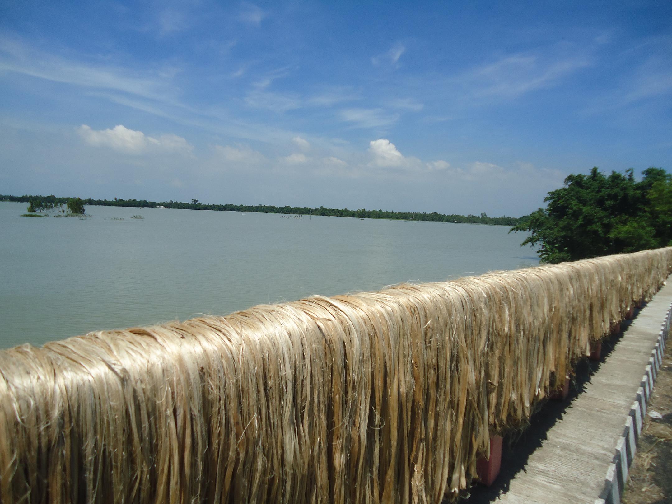 ফিরে আসবে সোনালি আঁশের সোনালি দিন