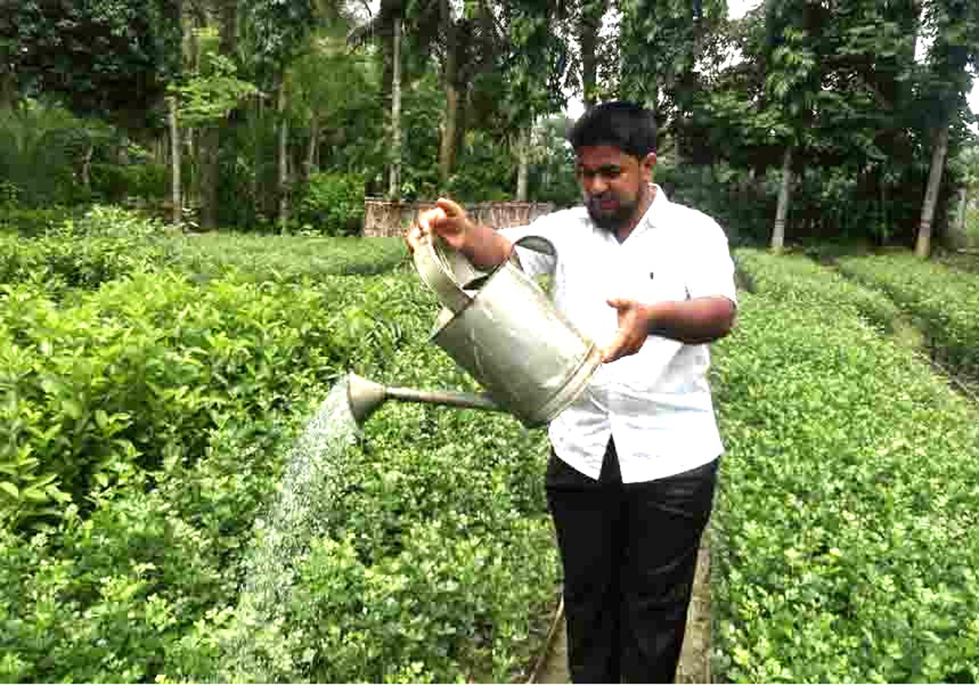 প্রাণ ও প্রকৃতি সুরক্ষায় মিজানুর রহমান