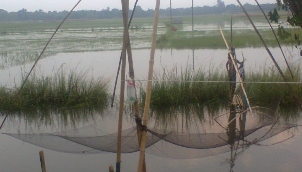 ধর্মজাল