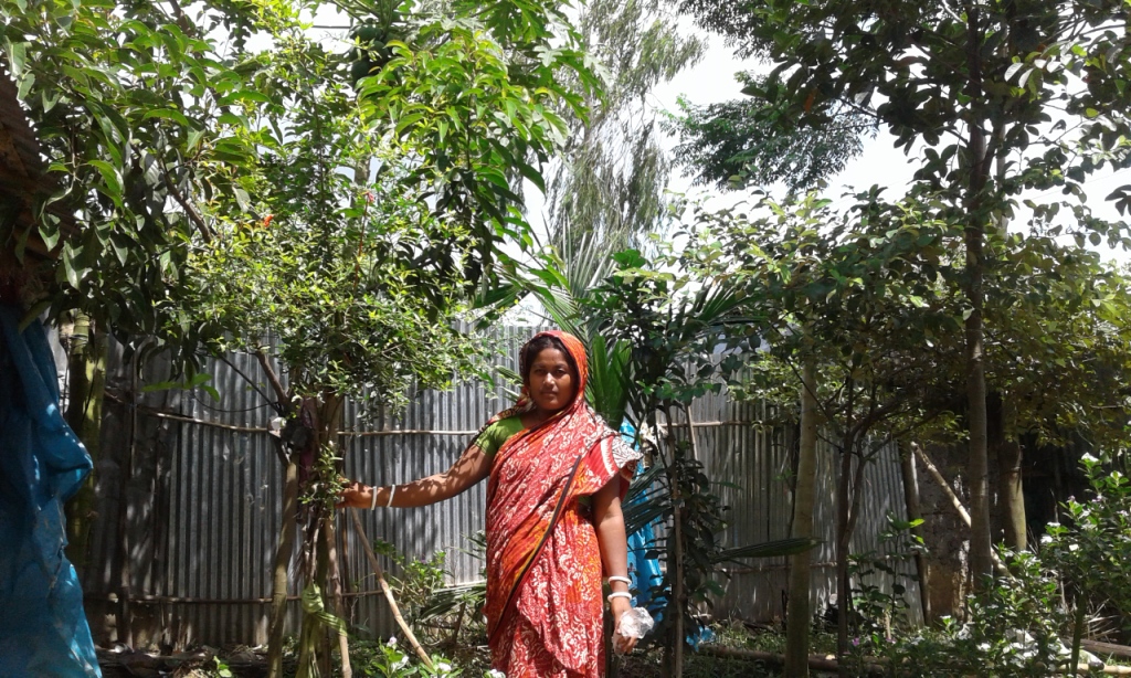 বৃক্ষ পরিবেশ ভারসাম্য রাখতে অবদান রাখে