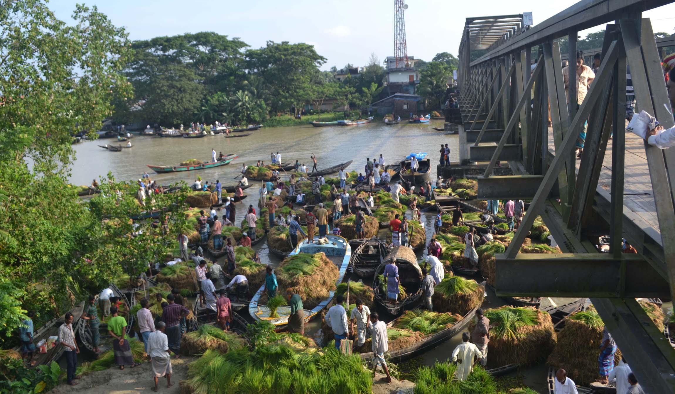 আমন বীজের ভাসমান হাট