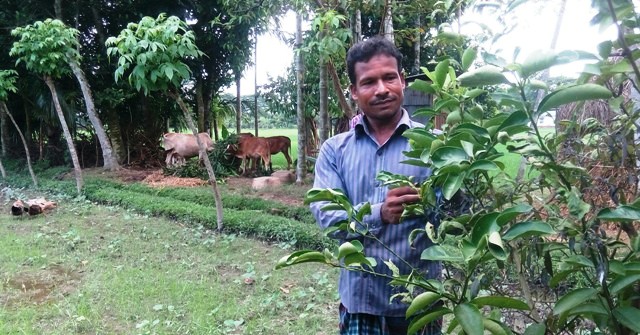 দুলাল মিয়ার কৃষিবাড়ি