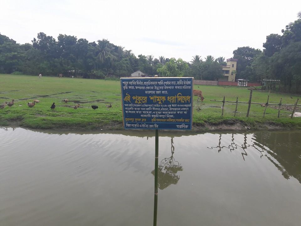 সাতক্ষীরায় শামুক রক্ষায় ব্যতিক্রমী উদ্যোগ