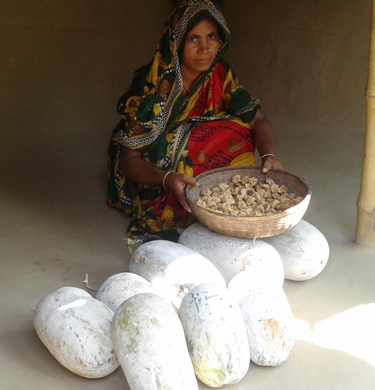 দুর্যোগের সাথী চাল কুমড়ার বড়ি