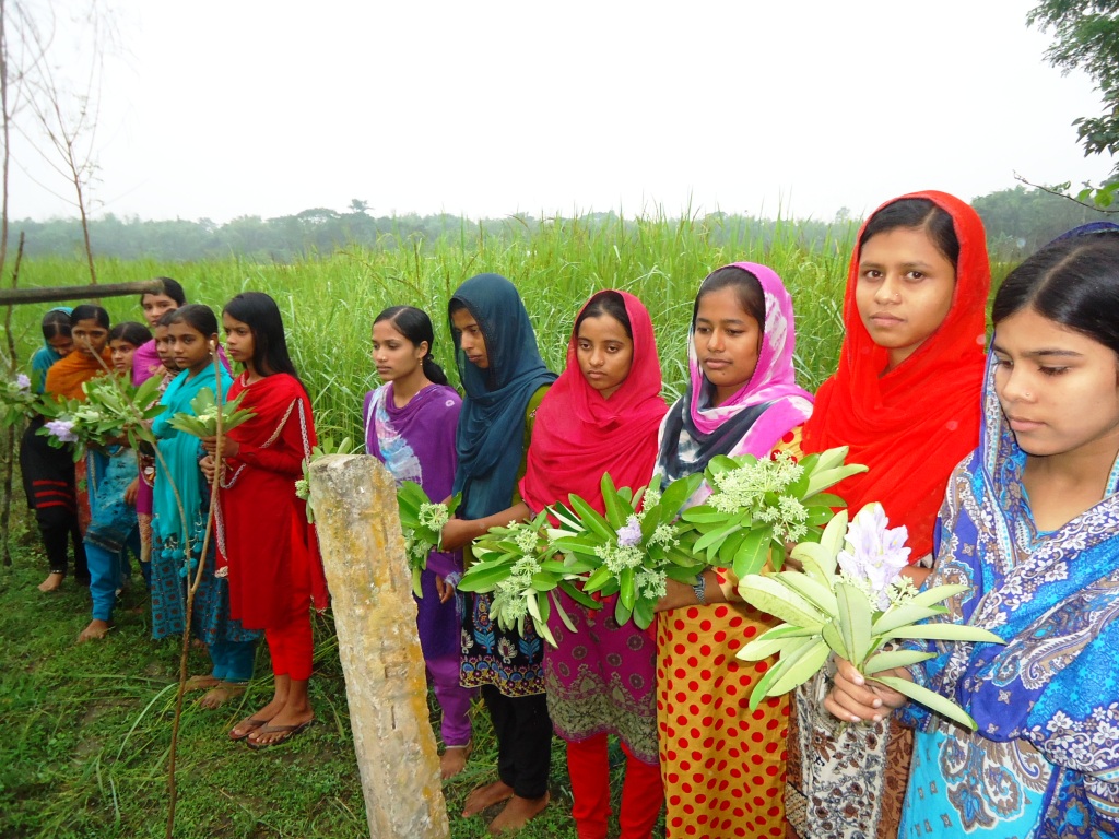 ছাতিমফুলে হেমন্তবরণ