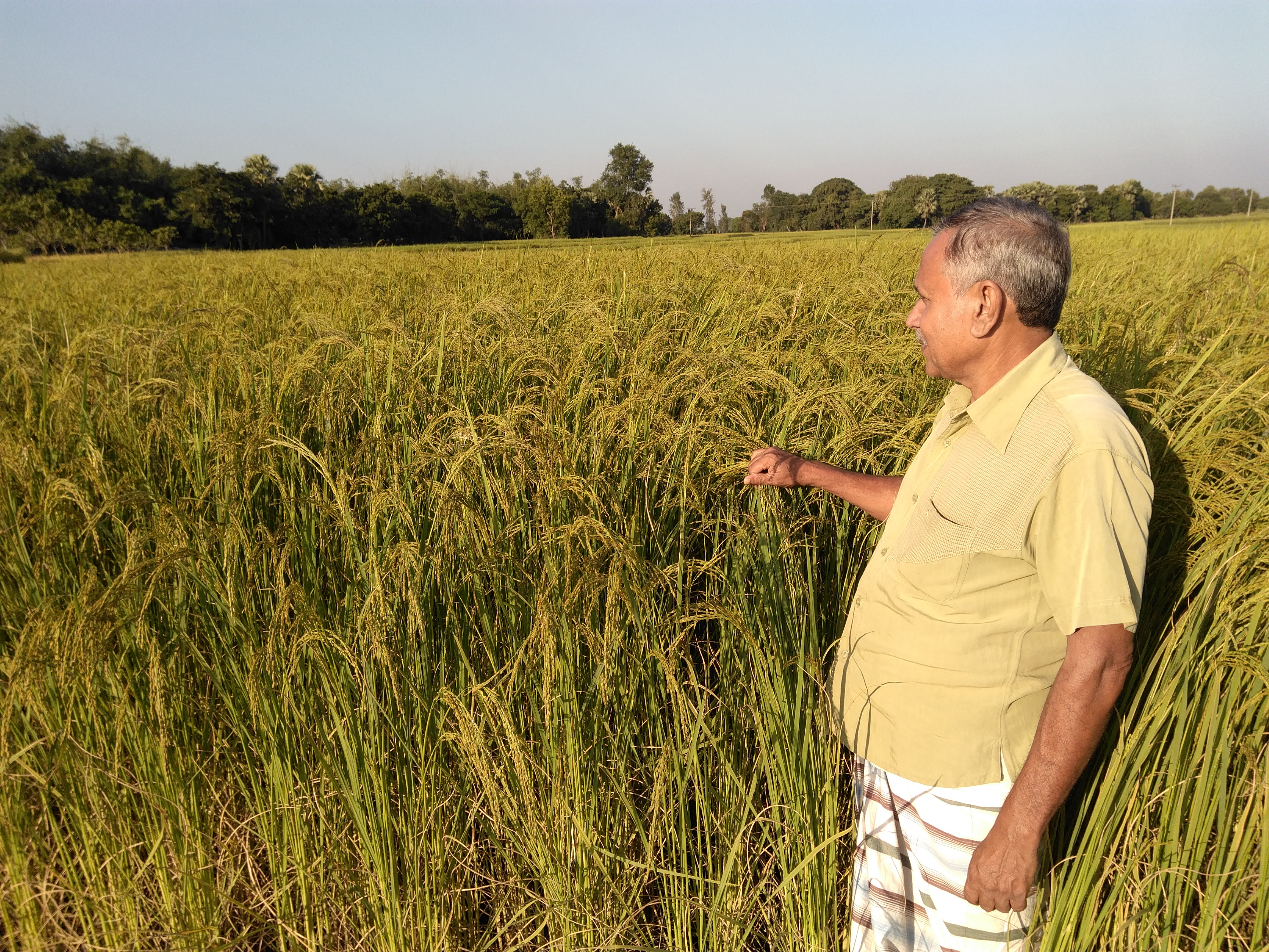 ‘বাঁচার প্রয়োজনেই ধরে রেখেছি দাদার আমলের স্মৃতি’