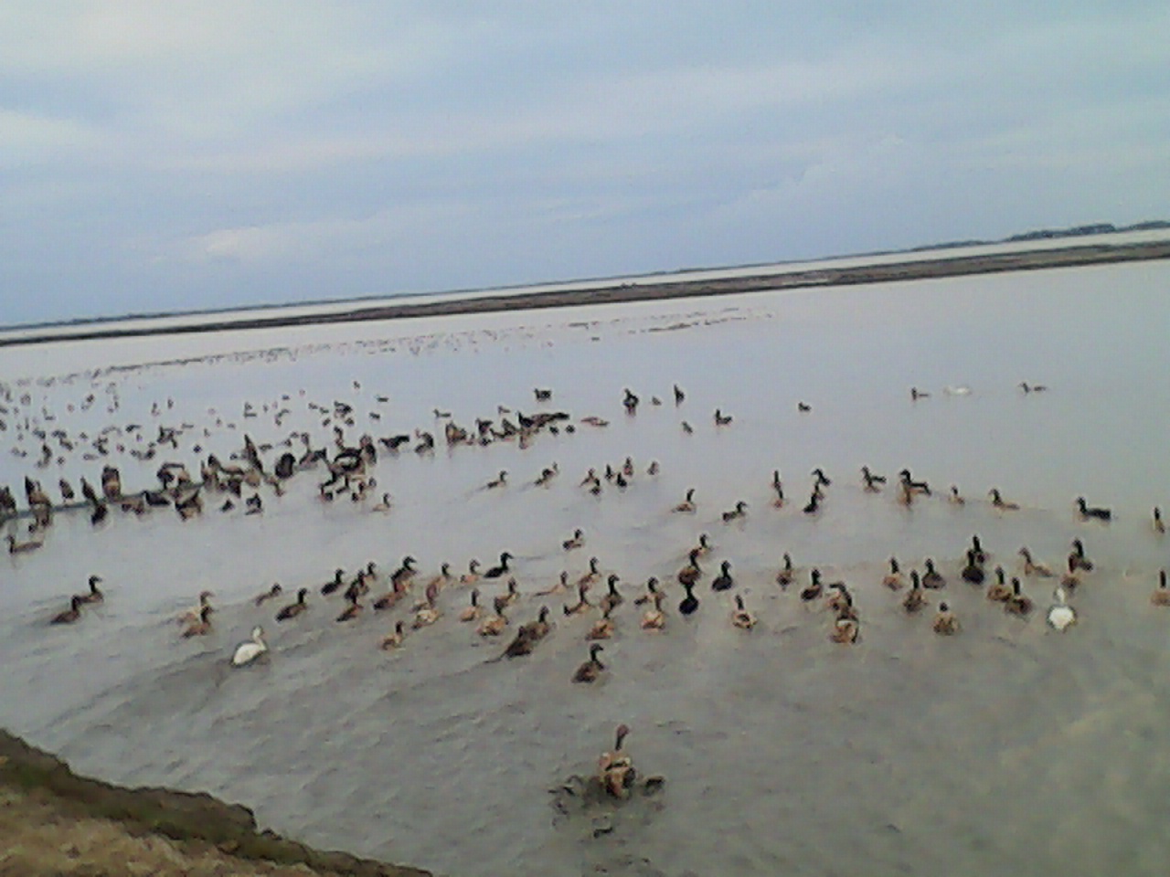 স্বপ্ন পূরণে যাযাবর জীবন