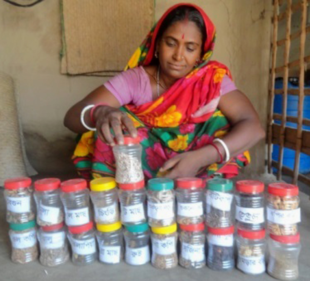 শুটকি খাদ্য-দুর্যোগকালীন খাবার