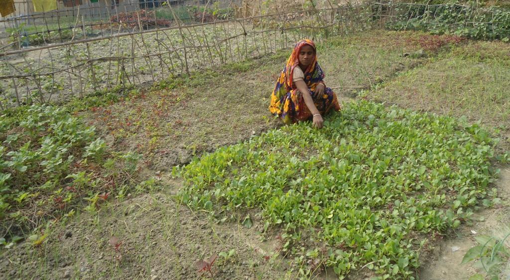 শ্রম আর মেধা দিয়েই জয়