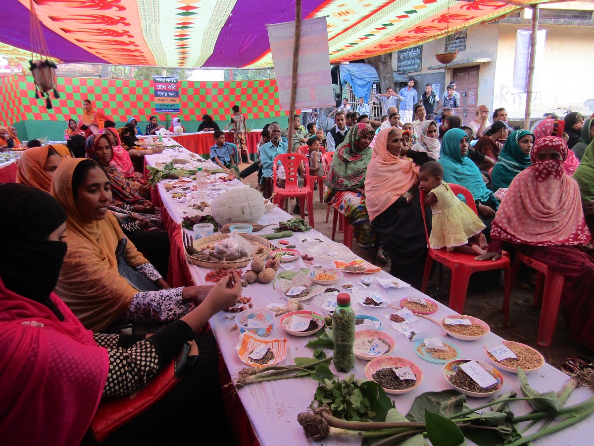 বরেন্দ্র অঞ্চলের জলবায়ু সংকট মোকাবেলায় নারী