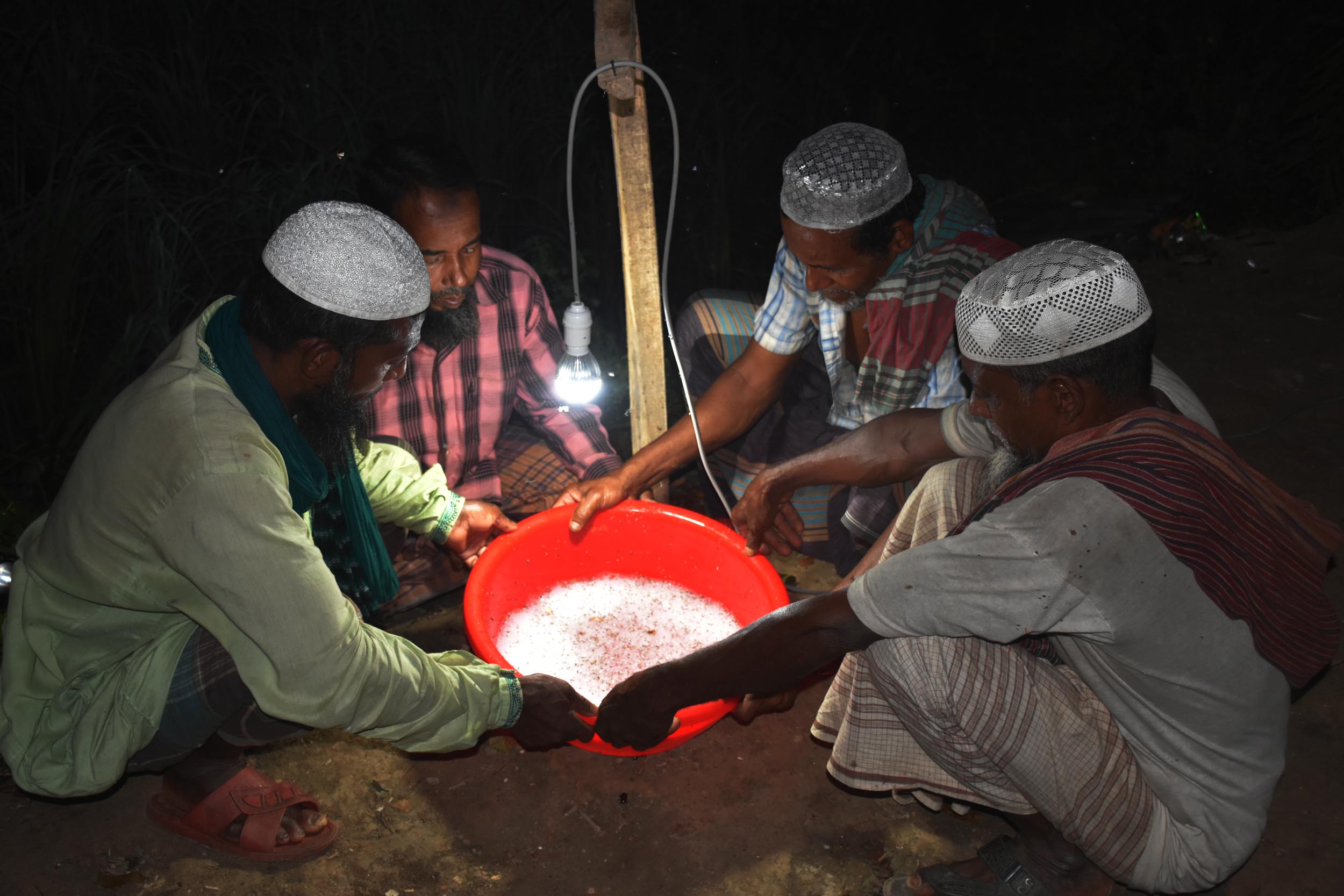 আলোর ফাঁদে ফসল সুরক্ষা