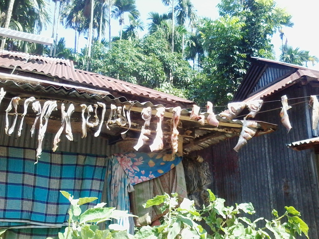 গ্রামীণ নারীর খাদ্য সংরক্ষণ প্রক্রিয়া