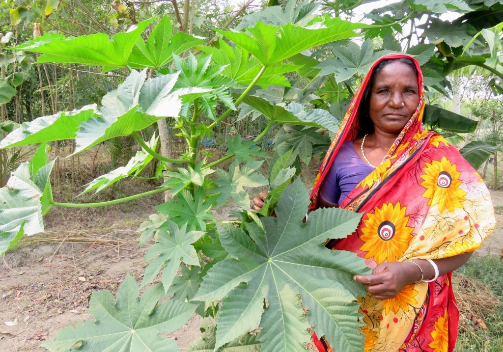 একজন বিনোদিনী মুন্ডার ঘুরে দাঁড়ানোর গল্প