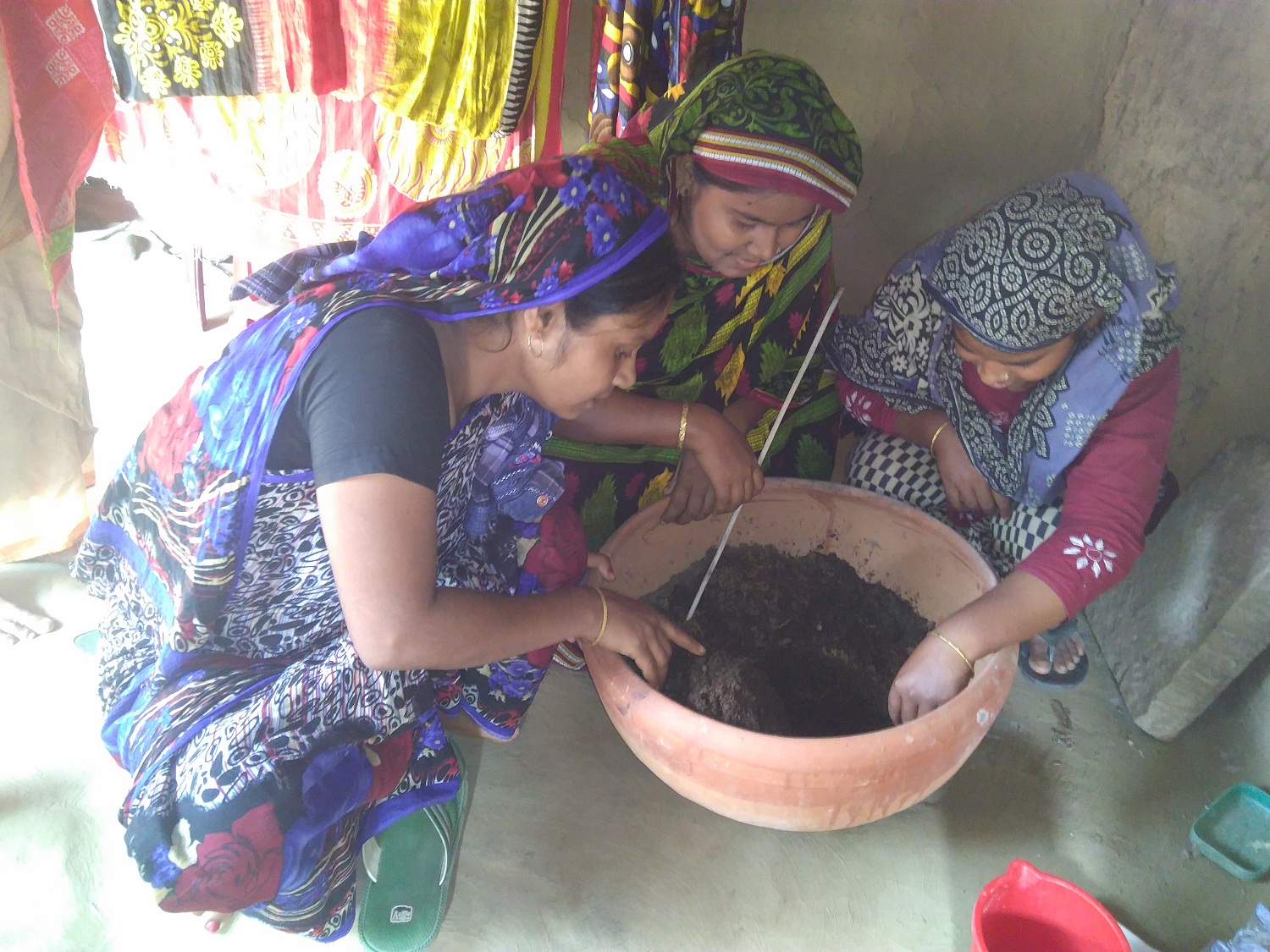 কেঁচো কম্পোস্ট: নিরাপদ খাদ্য উৎপাদনের উপাদান