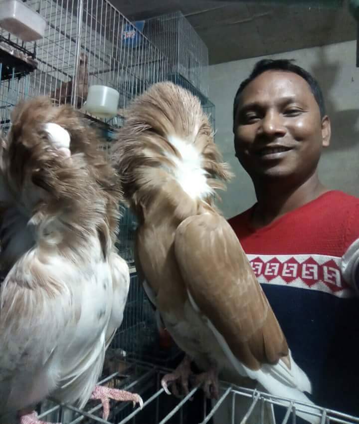 বলতে পারেন টার্কি ও পাখি পালন আমার রক্তে মিশে গেছে