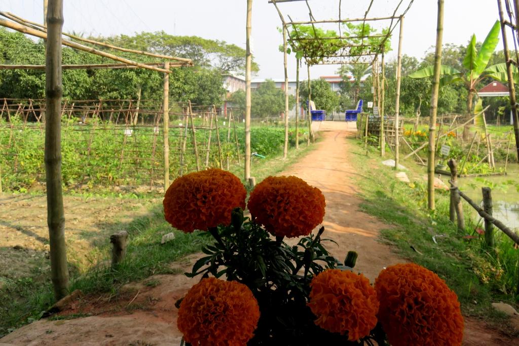 শ্যামনগর অ্যাগ্রোটেকনোলজি পার্ক: কৃষির এক উৎকৃষ্ট দৃষ্টান্ত