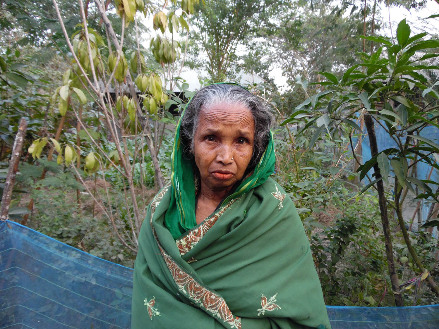 সোনা ঠেলে লোনা ঢোকানো