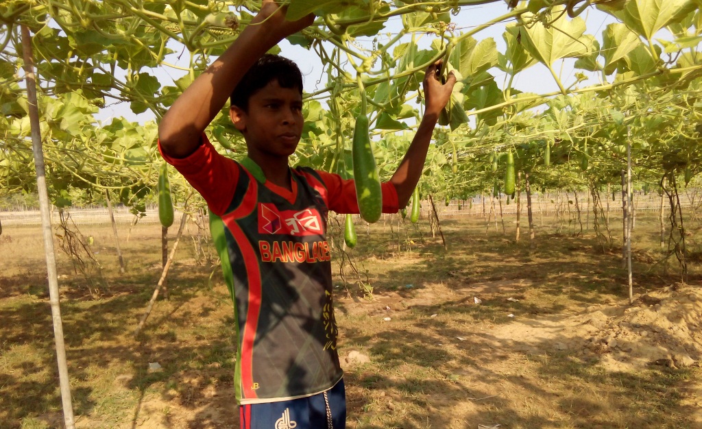 গর্ত খুরে জলাধার : বাগান ফসলের জন্য লোকায়ত সেচ পদ্ধতি আবিষ্কার