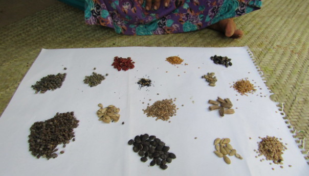 বরেন্দ্র অঞ্চলে পরিবারভিত্তিক খাদ্য নিরাপত্তায় নারীদের ছোট ছোট উদ্যোগ