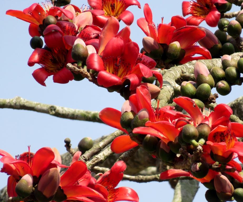 আহা আজি এ বসন্তে