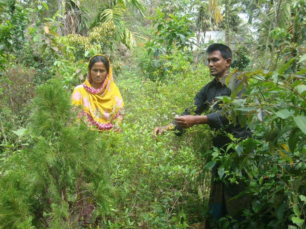 ওষধি বাগানে স্বাবলম্বী এক পরিবার
