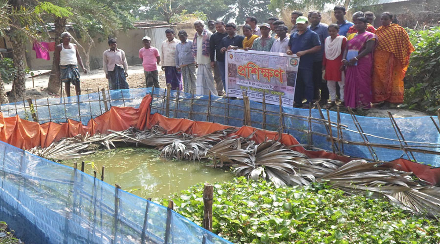 তানোরে কুচিয়া চাষে লাভবান আদিবাসীরা