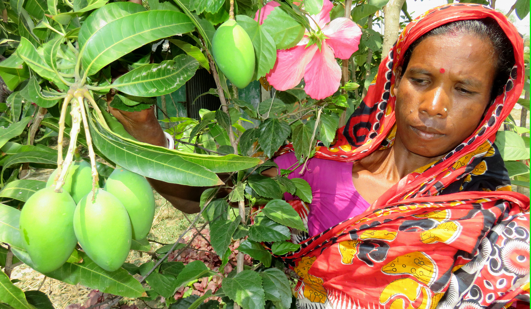কৃষিতে হেসেছেন কৌশল্ল্যা মুন্ডা