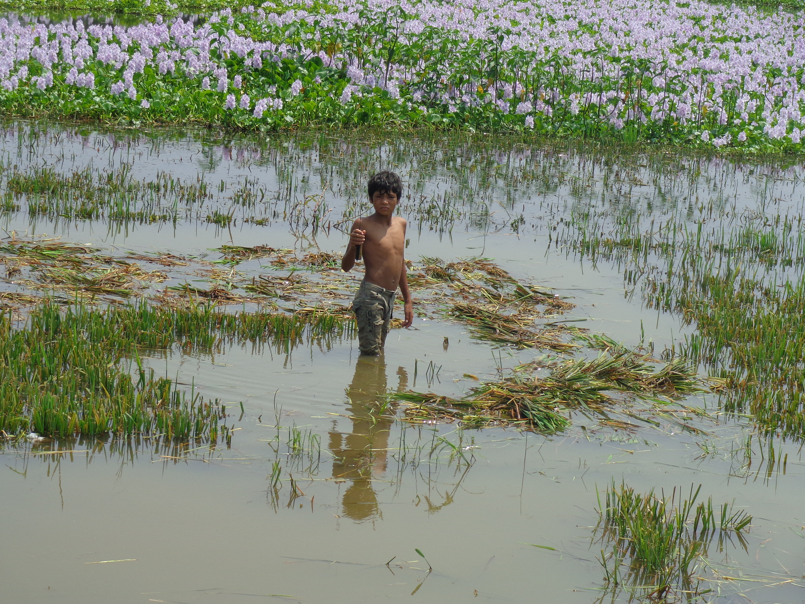 জলের সংসার