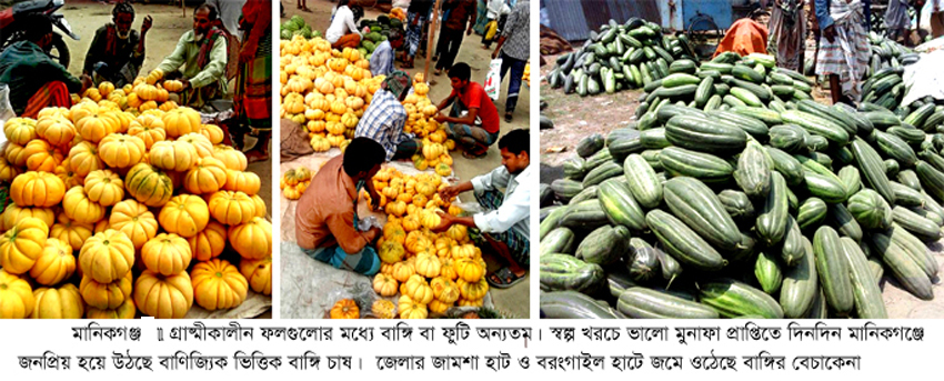 এই গরমে উপকারী পুষ্টিগুণে ভরা বাঙ্গি খান