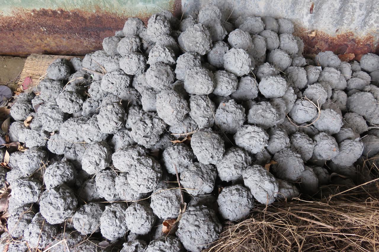 গুল: ব্যয় সাশ্রয়ী পরিবেশবান্ধব জ্বালানি