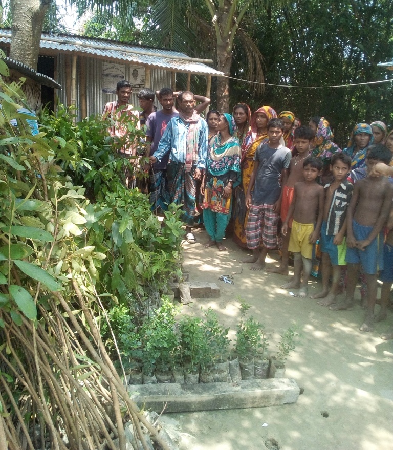 চরাঞ্চলে যুবকদের উদ্যোগে ১০০০ বৃক্ষরোপণ