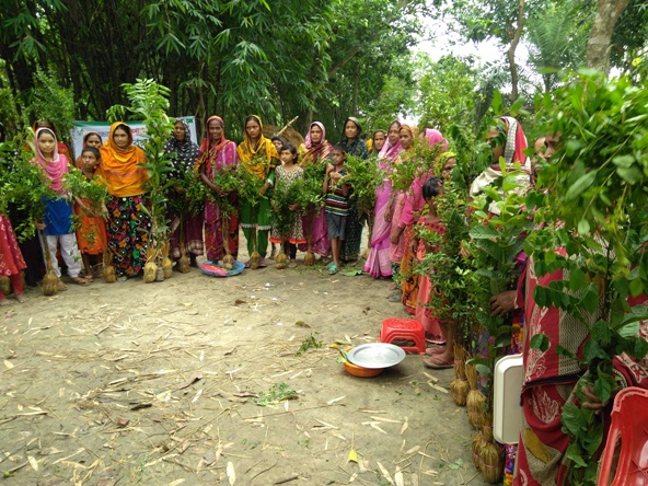 অচাষকৃত খাবার গুলো বিষমুক্ত