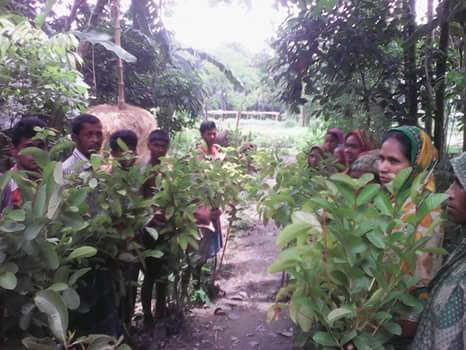 প্রকৃতি রক্ষায় যুবদের ক্ষুদ্র প্রয়াস